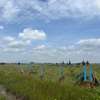 Tulivu Gardens | Prime Plots for Sale in Kangundo Rd thumb 0