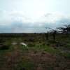 Land at Nanyuki-Rumuruti Rd thumb 14