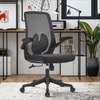 Office Chair: Ease Back Ergonomic Foldable Armrest Chair thumb 0