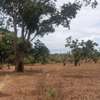 19 acres parcel of land for sale in Ganda,Malindi thumb 4