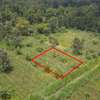 Residential Land in Thika Road thumb 3