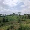 Migaa Land for sale thumb 4