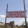 Ruiru Matangi plots for sale thumb 4