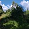 50 by 200 plot for sale in Kitisuru thumb 4