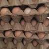 Fertilized Kienyeji eggs thumb 1