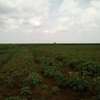 Land at Nanyuki-Rumuruti Rd thumb 6