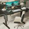Office Desk: Classic Sit Stand 1200MM Electric Desk thumb 3