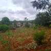 0.5 ac Residential Land at Muthaiga North thumb 1