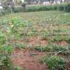 Plot for sale nambale centre with ready title deed thumb 1