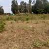 Kenol 40*80ft commercial plots for sale in Muranga county thumb 0