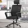 Office Chair: Ergonomic Modern Captain Mesh Seat thumb 0