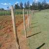 1/4 ACRE PLOT ON SALE IN RACECOURSE AIRPORT SACCO ,ELDORET thumb 4