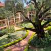 3 Bed Apartment with Swimming Pool in Lavington thumb 14