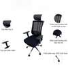 Office Chair: Orthopedic High Back Executive Luxury Chair thumb 1