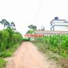 0.06 ha Residential Land at Kamangu thumb 10