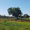 Land in Mtwapa thumb 7