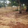 Ugweri 2acres thumb 4