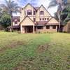 4 Bed House with En Suite at Panafric thumb 21