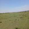 Open Land Spacious Flat Terrain with Mountain Views thumb 1