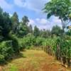 Prime Residential 50 by 100 plot for sale in Kikuyu, Ondiri thumb 1