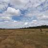 AN EXPANSIVE 4200 ACRES RANCH FOR SALE IN LAIKIPIA COUNTY thumb 1