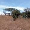 Land in Athi River thumb 3