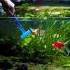 Aquarium Cleaning Service Nairobi - Mobile Aquarium Services thumb 12