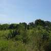 1,012 m² Residential Land in Vipingo thumb 5