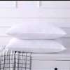 Set of 2 Standard White Plush Pillows Breathable thumb 4
