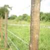 Electric Fence Repairs Nairobi- Electric Fence Repairs and maintenance of Electric Fencing systems , thumb 7