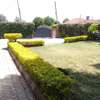 Beautiful 3 BR Houses plus Sqs in Ngong thumb 9