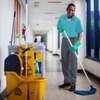 CLEANING SERVICES,FUMIGATION & PEST CONTROL KILELESHWA thumb 0