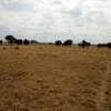 25 Acres of Land For Sale in Kisaju thumb 11