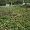 506 m² commercial land for sale in Ongata Rongai thumb 4
