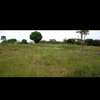 1 Acre land for sale thumb 4