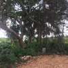 Land in Diani thumb 10