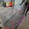 Foldable kennel house thumb 2