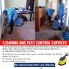 Cleaning and pest control services thumb 0