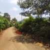 Commercial Land in Ruaka thumb 2