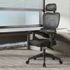 Office Chair:  Lumbar Support Office Chair thumb 0