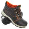 Rocklander Safety Boot. thumb 1