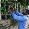 Bestcare Gardening Services Nairobi,Ngong,Limuru,Thika thumb 0