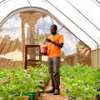 Bestcare Gardeners Gigiri, Muthaiga, Brookside,Spring Valley thumb 7