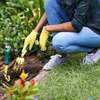 Bestcare Professional Gardening Services Lavington thumb 0