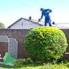Landscaping & gardening services in Nairobi | Give us a call today. thumb 3
