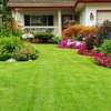 Professional Lawn Aeration Services.Lowest price guarantee.Get a Free Quote Today! thumb 0