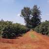 850 ac Land in Juja thumb 1