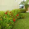 Bestcare Gardeners Karen,Langata,Lavington, Gigiri,Ruiru thumb 2