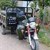 NEW APSONIC CARGO TUKTUK 250CC thumb 1