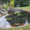 Water feature installation/Pond Installation/Pond Cleaning thumb 7